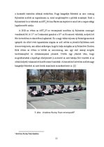 Term Papers 'Keréktárcsa és keréktárcsa mérő készülék tervezése Formula Student versenyautóho', 21.