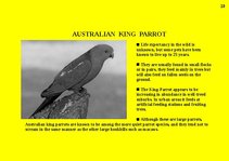 Presentations 'Fauna of Australia', 23.