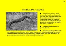 Presentations 'Fauna of Australia', 34.