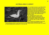 Presentations 'Fauna of Australia', 78.