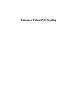 Research Papers 'European Union Small and Medium Enterprises Policy', 1.