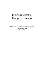 Research Papers 'The Assignment in European Business', 1.