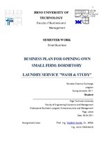 Business Plans 'Business Plan for Opening Own Small Firm: Dormitory Laundry Service "Wash & Stud', 1.