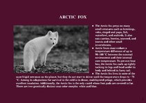 Presentations 'Alaska Fauna', 2.