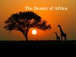 Presentations 'The Beauty of Africa', 1.