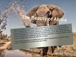 Presentations 'The Beauty of Africa', 2.