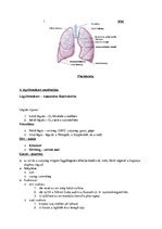 Summaries, Notes 'Pneumonia', 1.