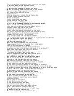 Essays 'The Ballad of the Desert Surfer', 1.