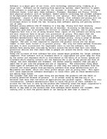 Essays 'The Software Piracy Issue', 1.