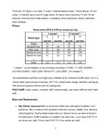 Presentations 'Comparison of Two Resort Hotels', 25.