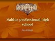 Presentations 'Saldus Professional High School', 1.