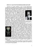 Research Papers 'Les maladies des princesses - anorexie et boulimie', 3.