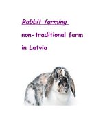 Research Papers 'Rabbit Farming', 1.