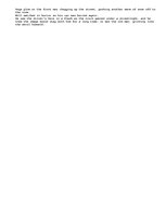 Essays 'The Snow in the City', 2.