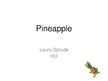Presentations 'Pineapple', 1.