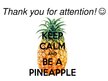 Presentations 'Pineapple', 24.