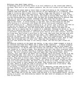 Essays 'Lord Of The Flies', 1.