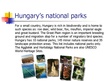 Presentations 'Hungary', 4.