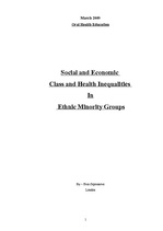 Summaries, Notes 'Social and Economic Class and Health Inequalities in Ethnic Minority Groups', 1.