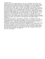 Essays 'The Respiratory System', 4.