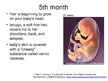 Presentations 'Foetal Development', 14.