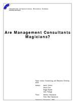 Research Papers 'Are Management Consultants Magicians?', 1.