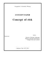 Essays 'Concept of Risk', 1.